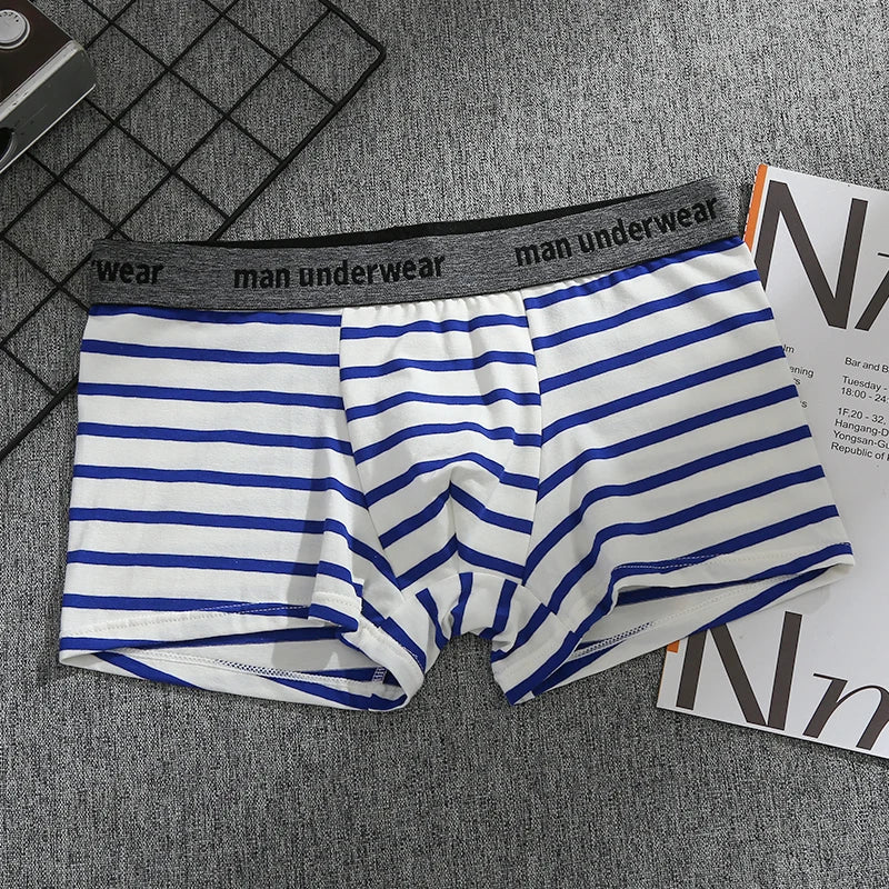 Riolio Men's Sexy Flat Angle Pants, Cotton Men's Underwear, Soft, Comfortable, Breathable Underwear, Men's Boxer Ice Silk Stripes