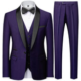 Riolio 3 Pieces Set Men's Business Blazers Coat / Male Slim Fit Color Matching Collar Suit Tuxedo Leisure Jacket Pants Vest Wedding