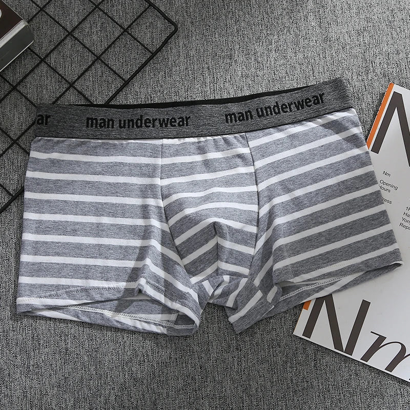 Riolio Men's Sexy Flat Angle Pants, Cotton Men's Underwear, Soft, Comfortable, Breathable Underwear, Men's Boxer Ice Silk Stripes