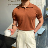 Riolio Spring Summer Knit Polo Shirt Men Casual Turn-down Collar Button Fashion Striped Solid Slim Tops Newest Ice Silk Cotton Knitwear
