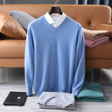 Riolio Men Sweaters 100% Pure Australian Wool Knitting Pullovers Winter Long Sleeve Vneck Solid Color Jumpers Male Woolen Clothes