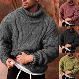 Riolio Men's Sweater Fashion Twist Braid Autumn Winter Knit Sweater Solid Color Cotton Warm Slim Fit Turtle-Neck Jumper Pullover свитер