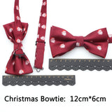 Riolio  New Christmas Luxury Tie Bowtie Brooch Set For Men Butterfly Cravat Snowflake Santa Claus Polyester Red Festival Party Gift