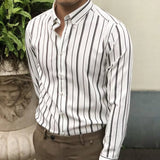 Riolio New High Quality Classic Mens Striped Shirts Fashion Casual Autumn Long Sleeve Slim Fit Shirt Man Brand Clothing