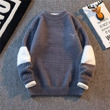Riolio  Men's autumn and winter pullover with thick base knit sweater light luxury semi high neck warm solid color simple sweater
