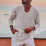 Riolio Men V-neck Long Sleeve Shirt Tops Burr Edge Pleated Loose Thin Pullover Tops Streetwear Spring Autumn Casual Handsome Men Shirts