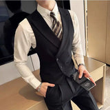 Riolio Japanese High-end Smart Casual Vest Men's Vest Pants Set Korean Elegant Wear 2025 Summer New Blazer Vest Aesthetic Waistcoat