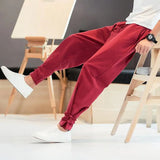 Riolio  Retro Chinese Style Cotton and Linen Trousers for Men Loose Buckles Tying Feet Harun Casual Pants