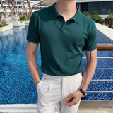 Riolio  Men V Neck Polo T Shirt Korean Fashion Polo Shirts Short Sleeve Casual Soild Top Slim Social Shirts Ice Silk T-Shirts Streetwear