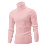 Riolio New Men's Turtleneck Sweater Casual Men's Knitted Sweater Warm Fitness Men Pullovers Tops