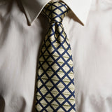 Riolio  New Luxury Silk Neckties Plaid Diamond Pattern Neck Ties For Men 10CM Casual Gray Green Soft Tie Groom Wedding Accessories