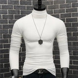 Riolio Luxury Men's Casual Turtleneck T-Shirts Autumn and Winter Tops Slim Collar Full Sleeve Innerwear Undershirt Golf Wear Men Tee