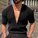 Riolio  Men's Deep V-Neck Waffle Knit Short Sleeve T-Shirt Slim Fit Casual Muscle Top