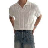 Riolio Men's Summer Korean Style Lightweight Knitshort Sleevespolo Shirt Hollow Mesh Texture Knitwear T-shirt Top Body Shirt