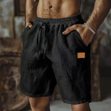 Riolio  Summer New Men Cotton Linen Shorts Embroidery Elastic Waist Beach Shorts Lightweight  Pants Comfort Breath Holiday Shorts
