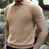 Riolio Summer Knit Men's Polo Shirt Business Casual Striped Lapel Short Sleeve Henry Shirt T-shirt Comfortable Men's Clothing