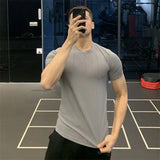 Riolio  Ice Silk High Elastic Quick-drying Sports Short-sleeved Solid Color Fitness Clothes Men's Tight Round Neck T-shirt
