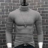 Riolio Luxury Men's Casual Turtleneck T-Shirts Autumn and Winter Tops Slim Collar Full Sleeve Innerwear Undershirt Golf Wear Men Tee