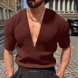 Riolio  Men's Deep V-Neck Waffle Knit Short Sleeve T-Shirt Slim Fit Casual Muscle Top