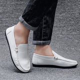Riolio  Men's Casual Loafers Shoes Wedding Dress Shoes New Big Size Moccasins Shoes Suede Shoes High Quality