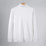 Riolio New Korean Fashion Men Sweater Light Luxury Trendy Turtleneck Knit Solid Color Pullover Leisure Retro Long Sleeve Basic Knitwear