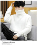 Riolio  White Pullover Turtleneck Men Sweater Fashion Knitted Sweater Men Clothing M-2XL Spring New Arrivals