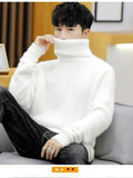 Riolio  White Pullover Turtleneck Men Sweater Fashion Knitted Sweater Men Clothing M-2XL Spring New Arrivals
