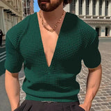 Riolio  Men's Deep V-Neck Waffle Knit Short Sleeve T-Shirt Slim Fit Casual Muscle Top