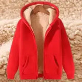 Riolio Autumn Winter New Men's Fleece Lined Thickened Sweatshirt Cardigan Hooded Zip Up Versatile Casual Jacket Warm Lambswool