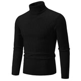 Riolio New Winter Men's Turtleneck Sweater Casual Men's Knitted Sweater Keep Warm Fitness Men Pullovers Tops