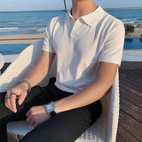 Riolio  Men V Neck Polo T Shirt Korean Fashion Polo Shirts Short Sleeve Casual Soild Top Slim Social Shirts Ice Silk T-Shirts Streetwear