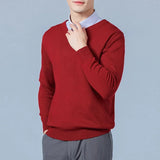 Riolio  Men Cashmere Sweater Autumn Winter Soft Warm Jersey Jumper  Pull Homme Hiver Pullover V-Neck Knitted Sweaters
