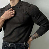 Riolio Mens Pullover Polo Korean Retro Stripe Temperament Ribbed Knit Top Autumn Slim Fit Long Sleeve Casual Trend Muscle Men's Clothes