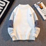 Riolio  Men's autumn and winter pullover with thick base knit sweater light luxury semi high neck warm solid color simple sweater