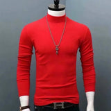 Riolio Man Thermal Turtleneck Casual Sleepwear Shirt S-2XL Sleeve Long Slim Coat 5colors Basic Sweater Bottom Winter