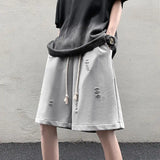 Riolio  High Street Ripped Men Summer Retro Sports Cropped Pants