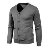 Riolio Autumn Men's Knitted Cardigan Thin V-neck Basic Elastic Slim Fit Thin Sweater Solid Color Casual Versatile Coat