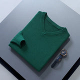 Riolio  Men Cashmere Sweater Autumn Winter Soft Warm Jersey Jumper  Pull Homme Hiver Pullover V-Neck Knitted Sweaters