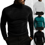 Riolio New Long Sleeved Solid Color Tight Fitting T-Shirt, European and American Autumn and Winter Men's High Neck Velvet Base Sweater