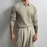 Riolio  New Korean Fashion Men Polo Sweater Light Luxury Knitted Solid Color Long Sleeve Pullover Premium Quality Skin-friendly Knitwear