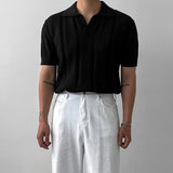 Riolio Men's Summer Korean Style Lightweight Knitshort Sleevespolo Shirt Hollow Mesh Texture Knitwear T-shirt Top Body Shirt