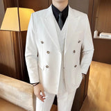 Riolio  Casual Men's Three-Piece Suit Set with Notch Lapel Double-Breasted Fashionable Business Casual Dinner Dress