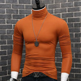 Riolio Luxury Men's Casual Turtleneck T-Shirts Autumn and Winter Tops Slim Collar Full Sleeve Innerwear Undershirt Golf Wear Men Tee