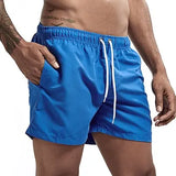 Riolio Men's Swim Shorts Swim Trunks Quick Dry Board Shorts Bathing Suit Breathable Drawstring With Pockets for Surfing Beach Summer