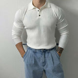 Riolio Mens Pullover Polo Korean Retro Stripe Temperament Ribbed Knit Top Autumn Slim Fit Long Sleeve Casual Trend Muscle Men's Clothes