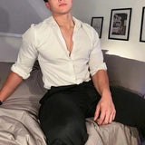 Riolio  Spring Autumn Fashion Turn-down Collar Long Sleeve Solid Blouse Men's Clothing Korean Casual All-match Button Simplicity Shirts