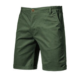 Riolio  New Summer 100% Cotton Solid Shorts Men High Quality Casual Business Social Elastic Waist Men Shorts 10 Colors Beach Shorts
