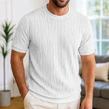 Riolio  European American Men's Short-sleeved T-shirt Jacquard Sweater Round Neck Ribbed Pullover Top