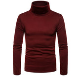 Riolio Man Thermal Turtleneck Casual Sleepwear Shirt S-2XL Sleeve Long Slim Coat 5colors Basic Sweater Bottom Winter