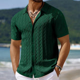 Riolio  Summer New Trend Men Fashion Polo Shirt Light Luxury Textured Knit T-shirt American Style Short Sleeve Casual Cardigan Tops
